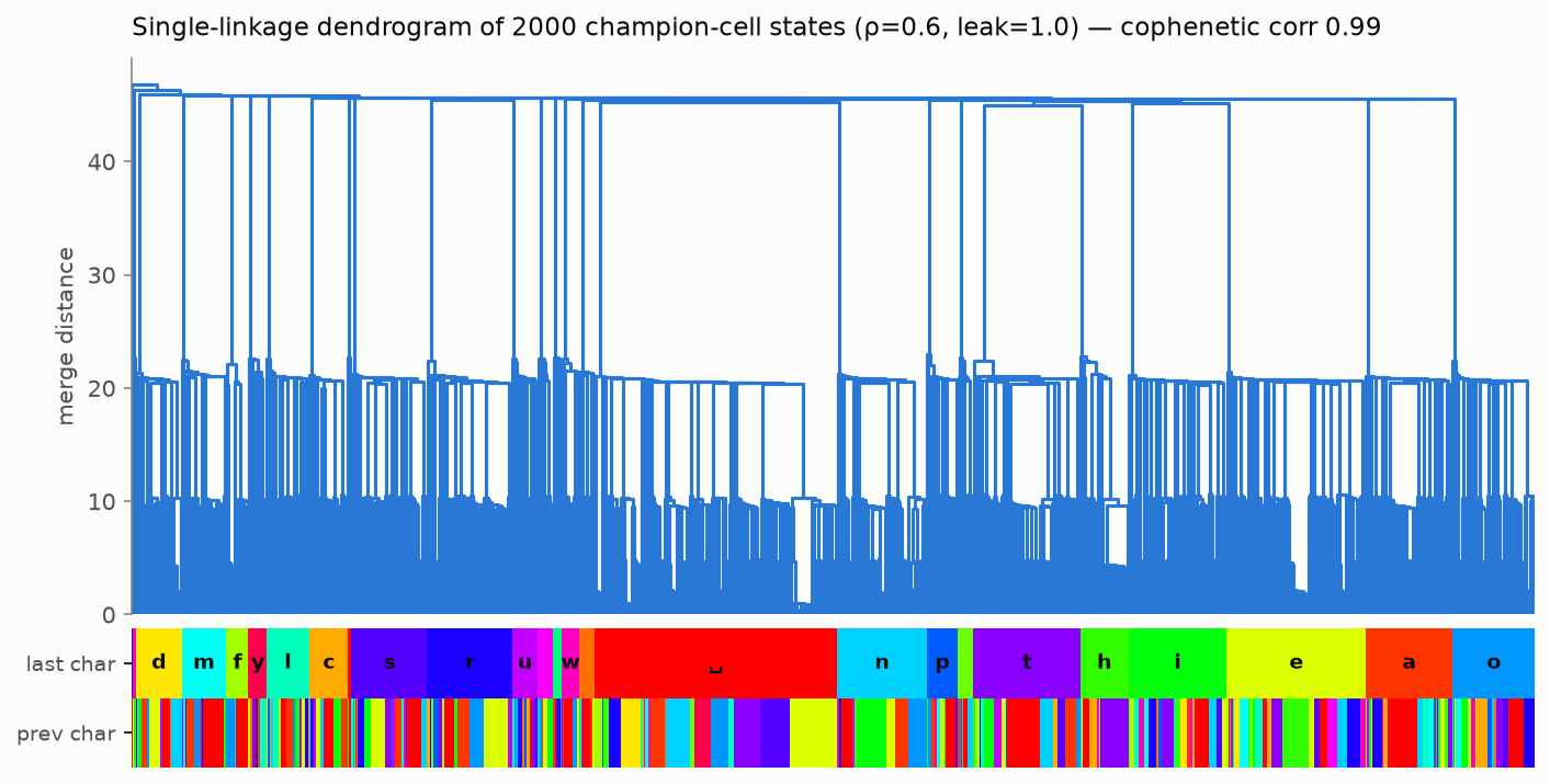 Single-linkage dendrogram over two thousand reservoir states with a color strip beneath showing each leaf's last and previous character; leaves form contiguous blocks by last character, labeled with letters.