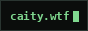 caity.wtf ~~ 88×31 webring button, green terminal text on black with a blinking cursor